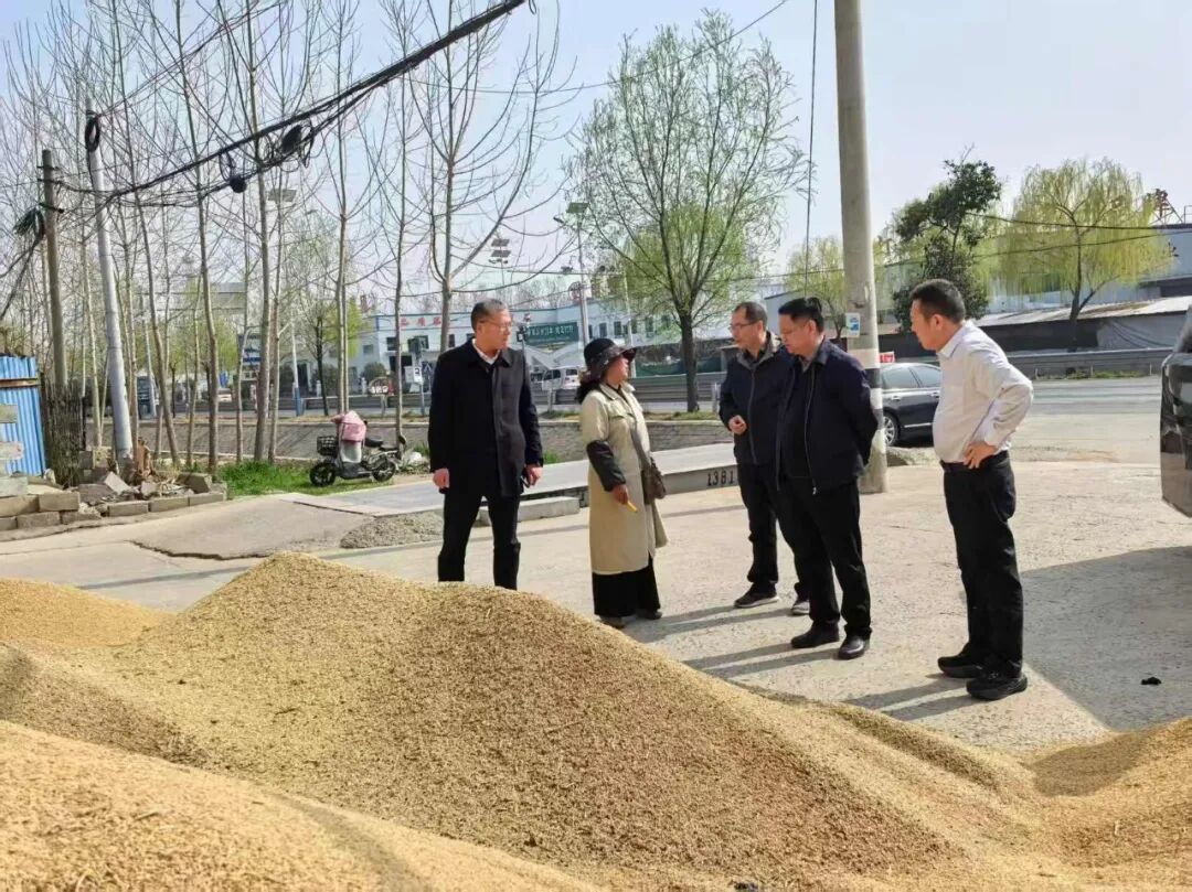 20260326市发展改革委赴东海县、赣榆区开展夏粮情况调研.jpg